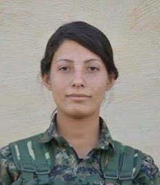 ypj